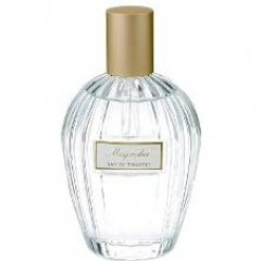 Floral Collection - Magnolia